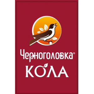 Основы и концентраты для напитков Аквалайф 221925
