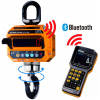 Весы крановые электронные CAS 2 THD TWN